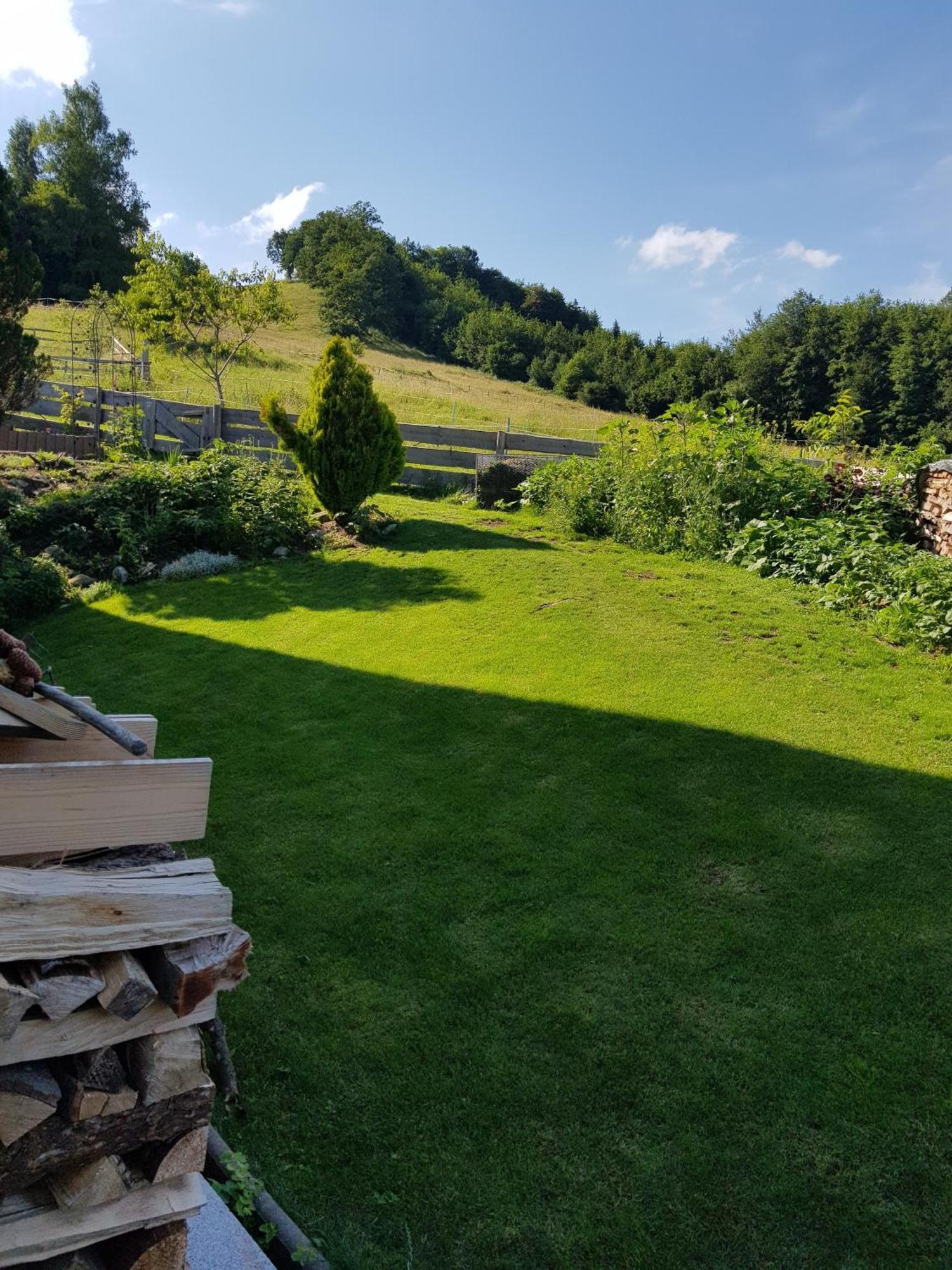 Ferienwohnung Schlossberg 1 パイティンク エクステリア 写真